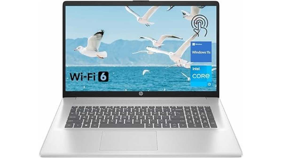 HP Premium 17.3" Laptop - $624.50