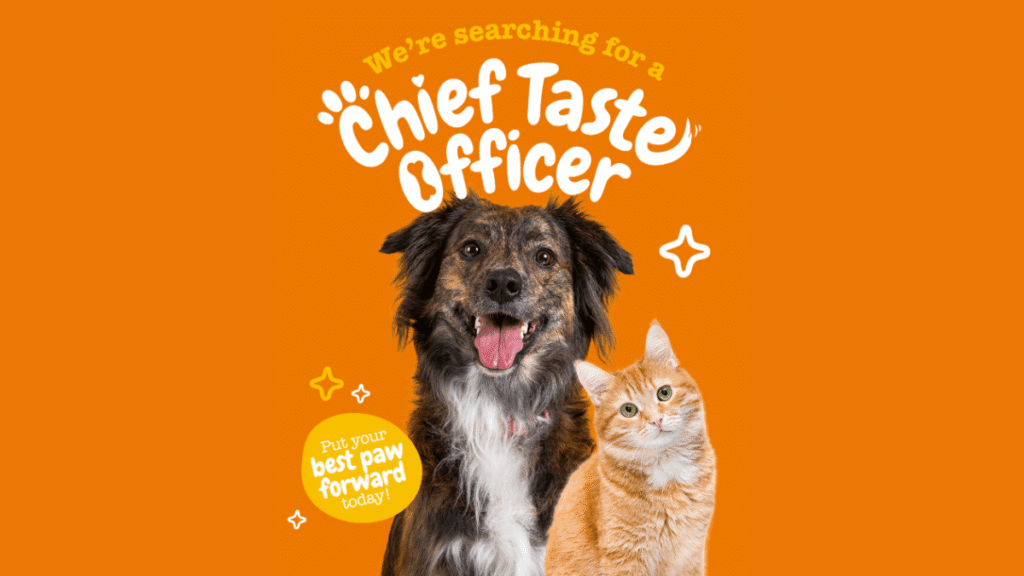 esty Paws Chief Taste Officer Contest
