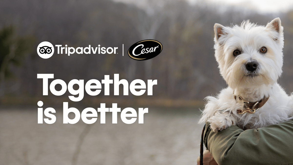 TripAdvisor Cesar Pet-Friendly Sweepstakes