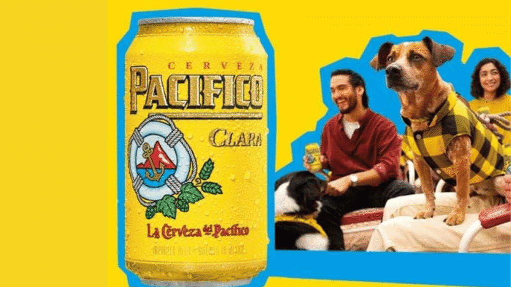 Pacifico Fall 2025 Sweepstakes