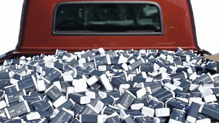 RGMN Disney Cruise Sweepstakes